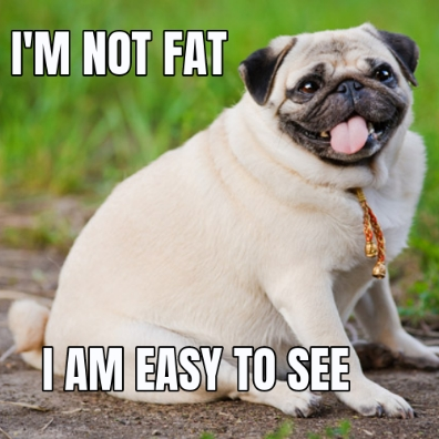 Is Your Pet Obese? Check Our Guide On Pet Weight Loss