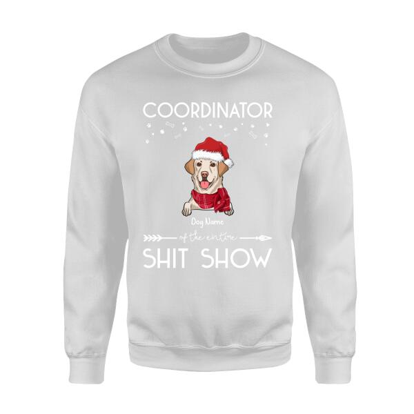 Funny Coordinator Of The Shit Show Personalized Dog T-Shirt TS-PT294