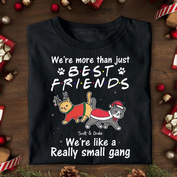 We're More Than Just Best Friends We're Like A Really Small Gang Personalized Cat T-shirt  TS-NN566