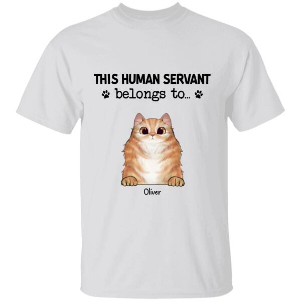 This Human Servant Belongs To Personalized Cat T-shirt TS-NN826