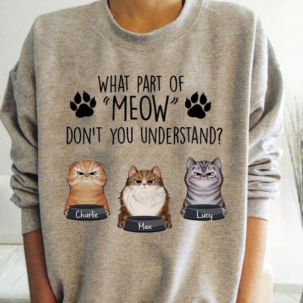 Funny What Part Of Meow Didn't You Understand Personalized Cat T-Shirt TS-PT845