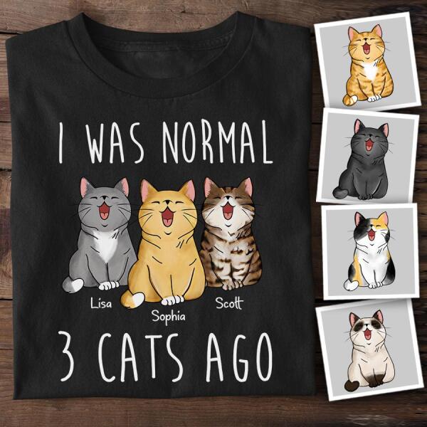 I Was Normal Funny Personalized Cat T-shirt TS-NB990