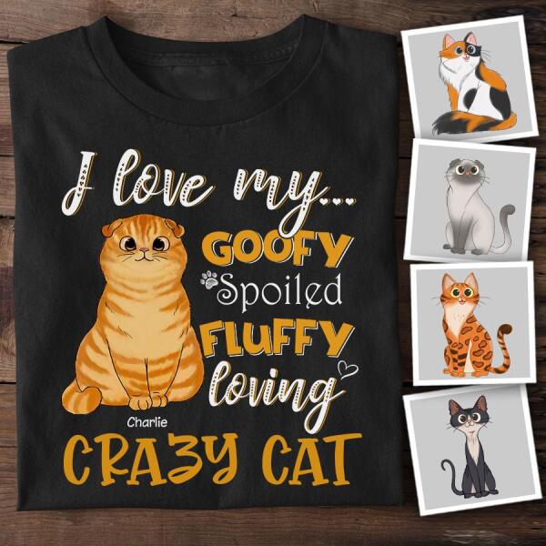 I Love My Goofy Spoiled Fluffy Loving Crazy Cat Personalized T-shirt TS-NB994