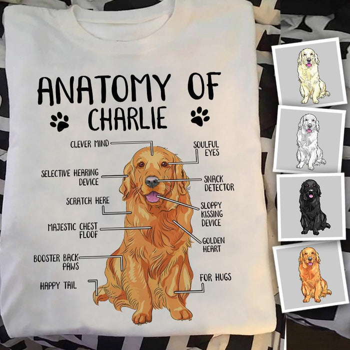 Funny Anatomy Of A Golden Retriever Personalized T-Shirt TS-PT1287