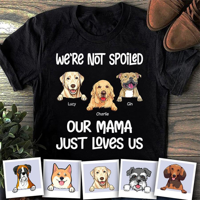 I'm Not Spoiled Personalized Dog T-shirt TS-NN1346