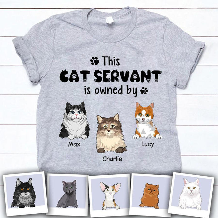 Funny Cat Servant Personalized T-Shirt TS-PT1525