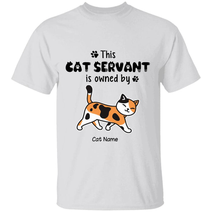 Funny Human Servant Personalized Cat T-Shirt TS-PT1547