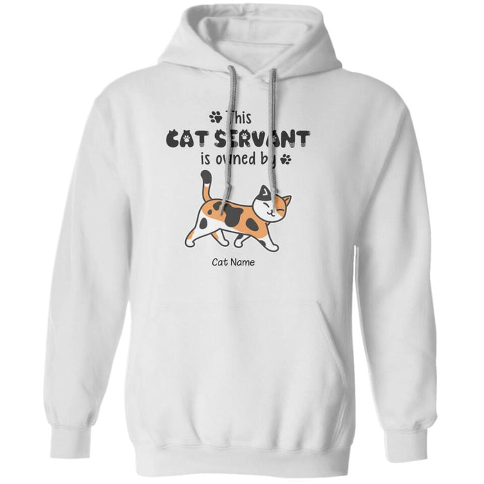 Funny Human Servant Personalized Cat T-Shirt TS-PT1547