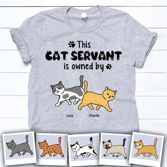 Funny Human Servant Personalized Cat T-Shirt TS-PT1547