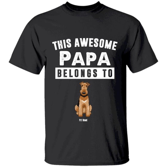 This Awesome Papa Belongs To TS-NB1613