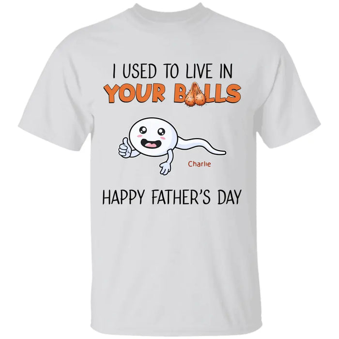 We Used To Live In Your Balls - Personalized T-Shirt - Gift For Father's Day TS - PT3739