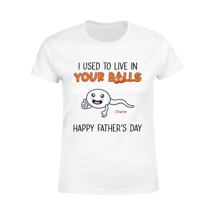 We Used To Live In Your Balls - Personalized T-Shirt - Gift For Father's Day TS - PT3739