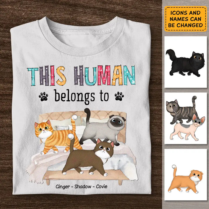 This Human Belongs To Cats - Personalized T-Shirt - Cat Lovers TS - TT3899