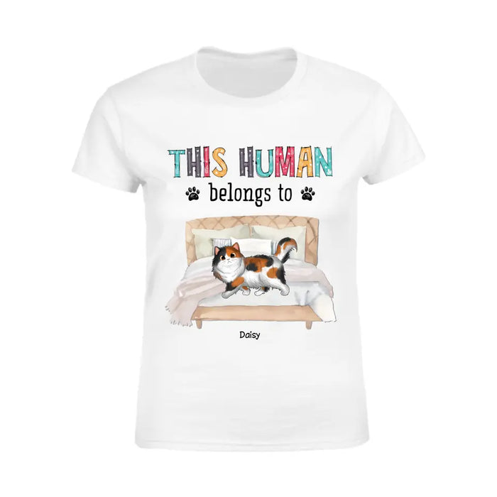 This Human Belongs To Cats - Personalized T-Shirt - Cat Lovers TS - TT3899