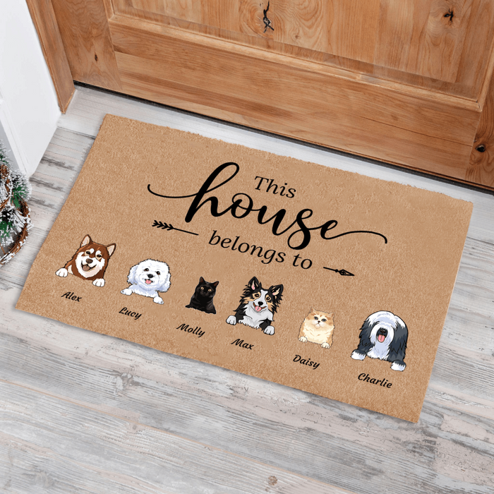 This House Belongs to cat and dog personalized doormat