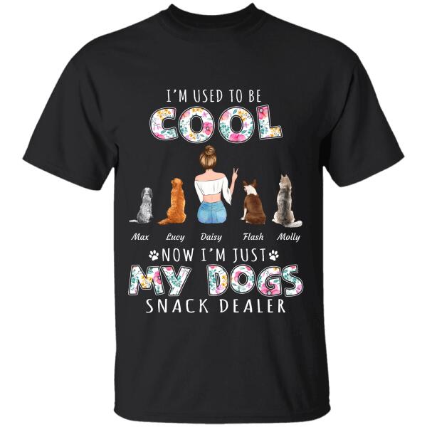 I'm used to be cool now I'm just my Dogs/Cats snack dealer personalized Pet T-Shirt