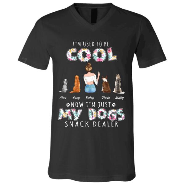 I'm used to be cool now I'm just my Dogs/Cats snack dealer personalized Pet T-Shirt