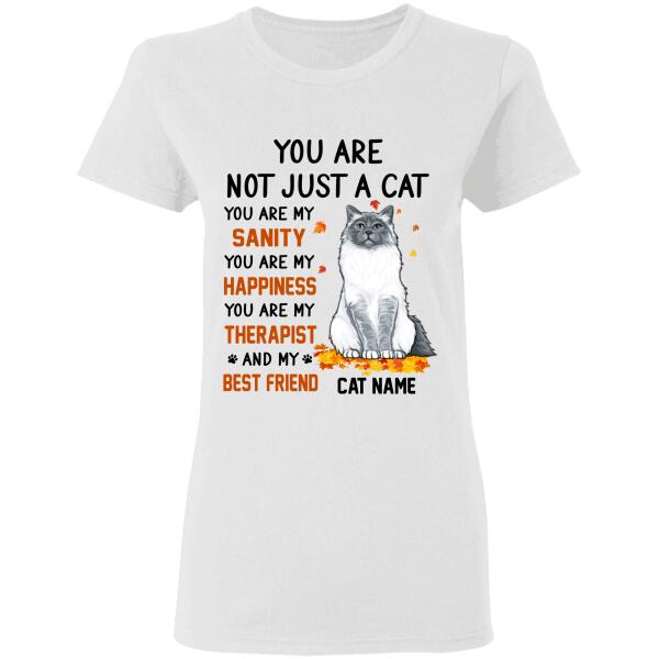 cats are best friends personalized cat t-shirt ts-hr170