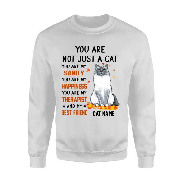 cats are best friends personalized cat t-shirt ts-hr170