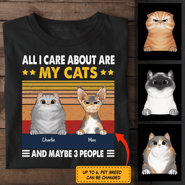 All i care about are my cats Personalized T-Shirt TS-TU229