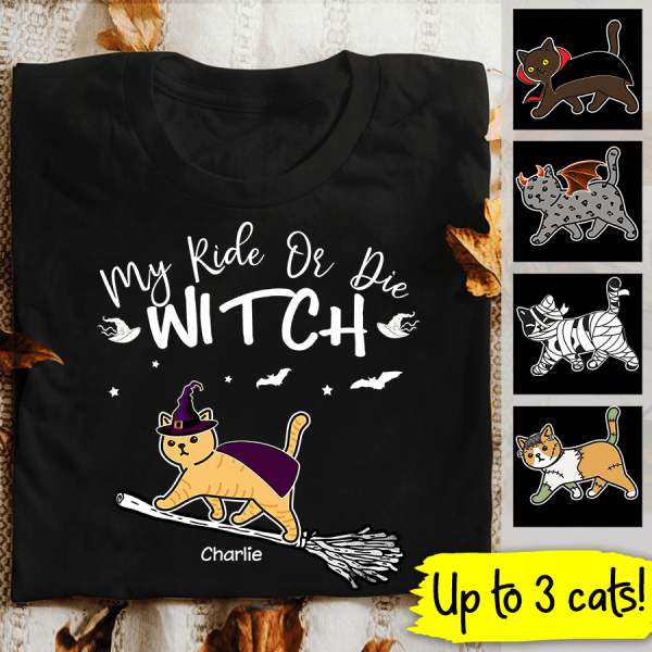 Ride Or Die Witches Personalized Cat T-Shirt TS-HR194