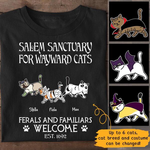 Salem Sanctuary For Wayward Cat Personalized Cat T-Shirt TS-GH198