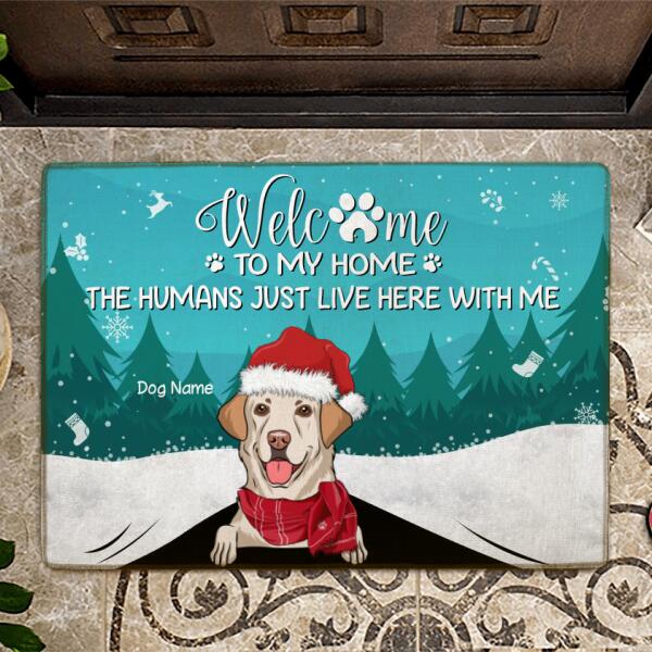 Welcome To Our Home Personalized Dog Doormat DM-NB224