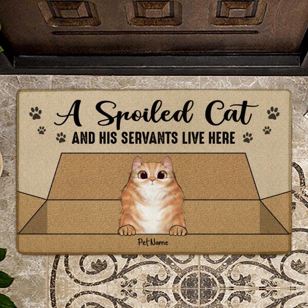 Spoiled Cats And Their Servants Live Here Personalized Doormat DM-NN639