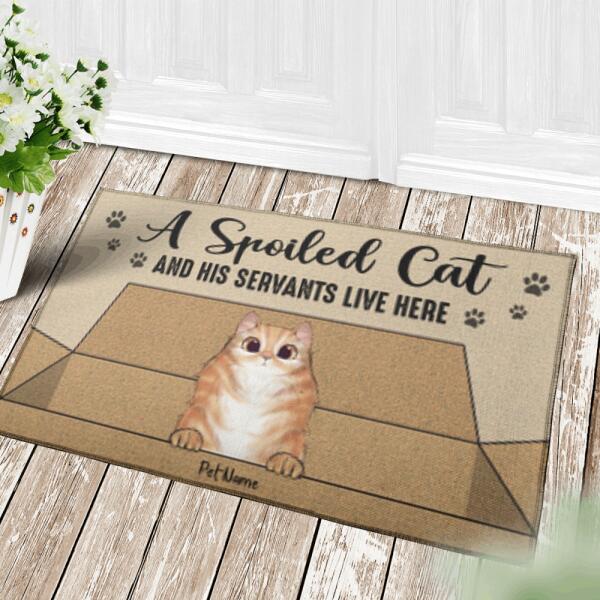 Spoiled Cats And Their Servants Live Here Personalized Doormat DM-NN639
