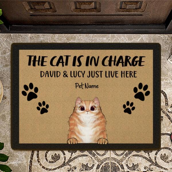 The Cats Are In Charge We Just Live Here Personalized Doormat DM-NB600