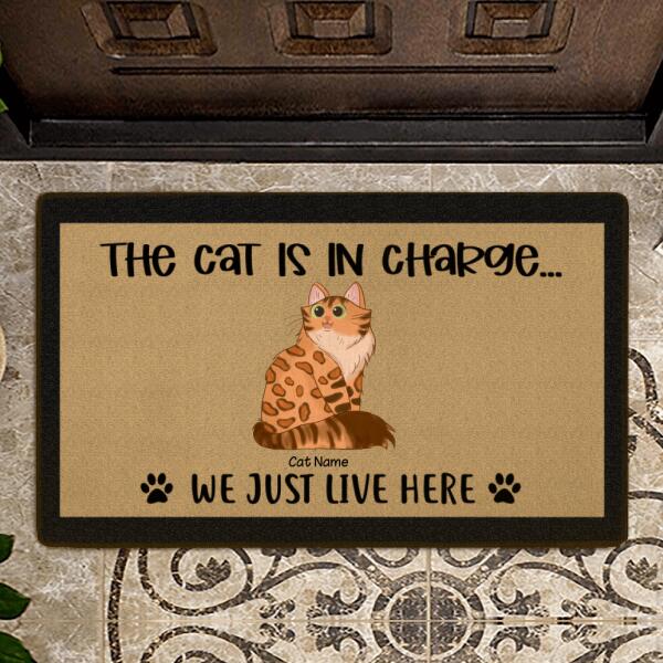 The Cats Are In Charge We Just Live Here Personalized Doormat DM-NB888