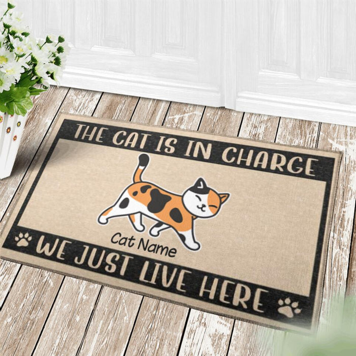 Funny The Cats Are In Charge Personalized Doormat DM-PT1350