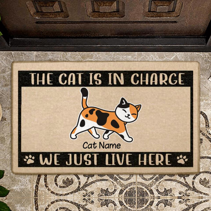 Funny The Cats Are In Charge Personalized Doormat DM-PT1350