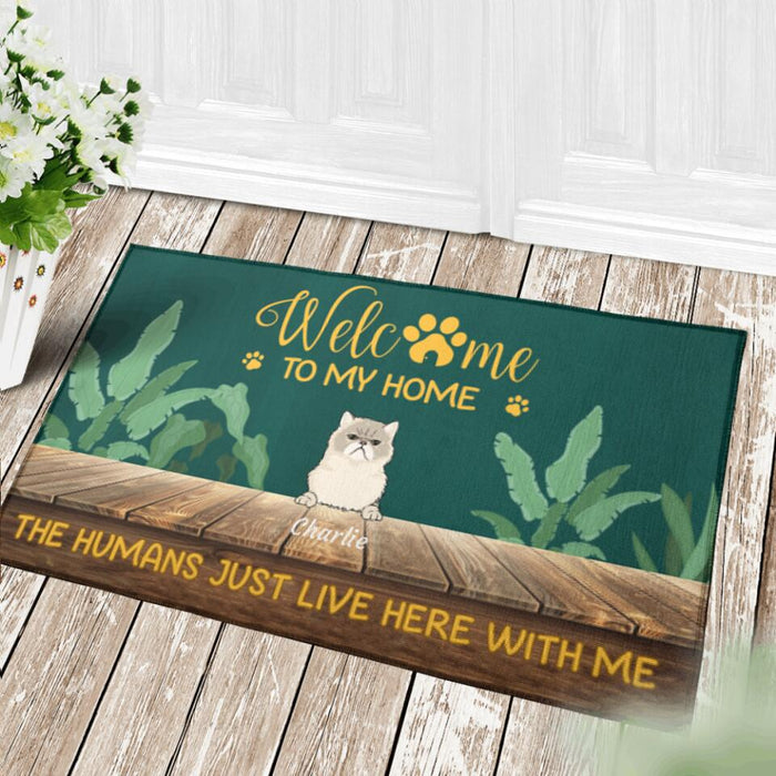 "Welcome to our house" dog and cat personalized doormat