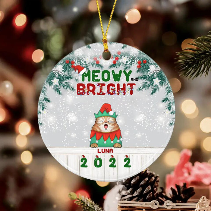 Meowy & Bright Fluffy Cat Christmas Personalized Circle Ornament