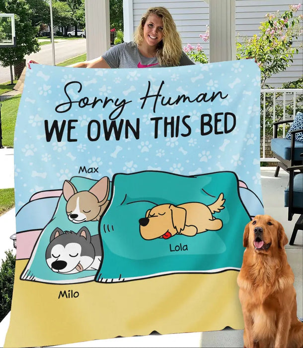Funny Sorry Human We Own This Bed Personalized Blanket B-NB2164