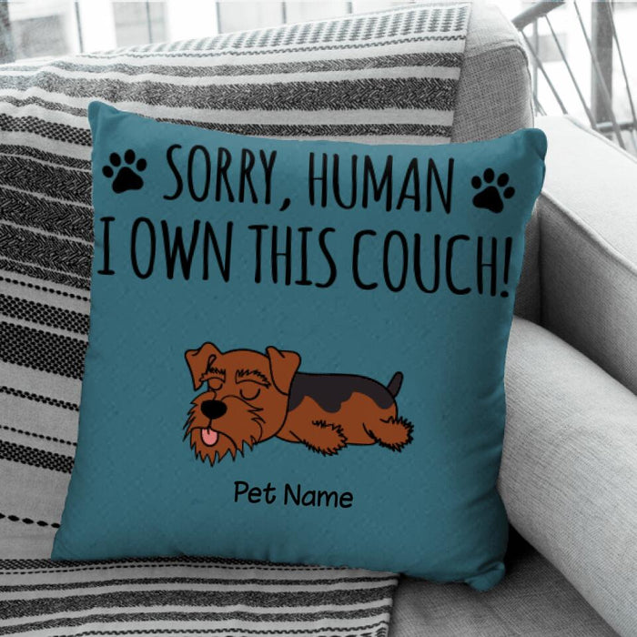 Sorry Human We Own This Couch Personalized Pillow P-NB2163