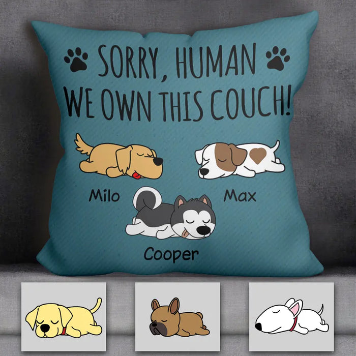 Sorry Human We Own This Couch Personalized Pillow P-NB2163
