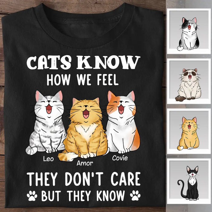 Cats Know How We Feel They Don't Care But They Know  Personalized T-Shirt TS-PT2281