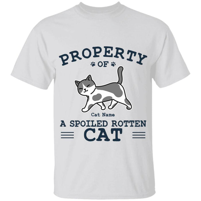 Property Of Spoiled Rotten Cats Personalized T-Shirt TS-PT2376