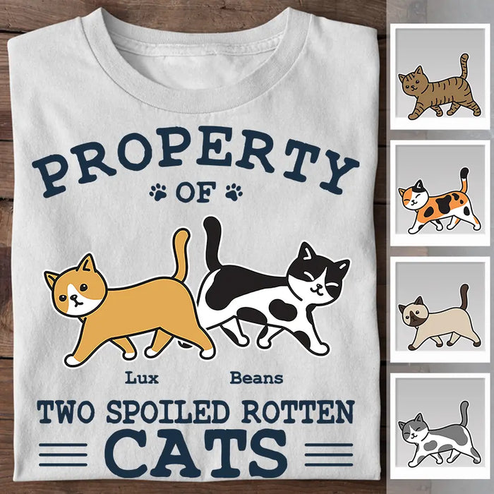 Property Of Spoiled Rotten Cats Personalized T-Shirt TS-PT2376