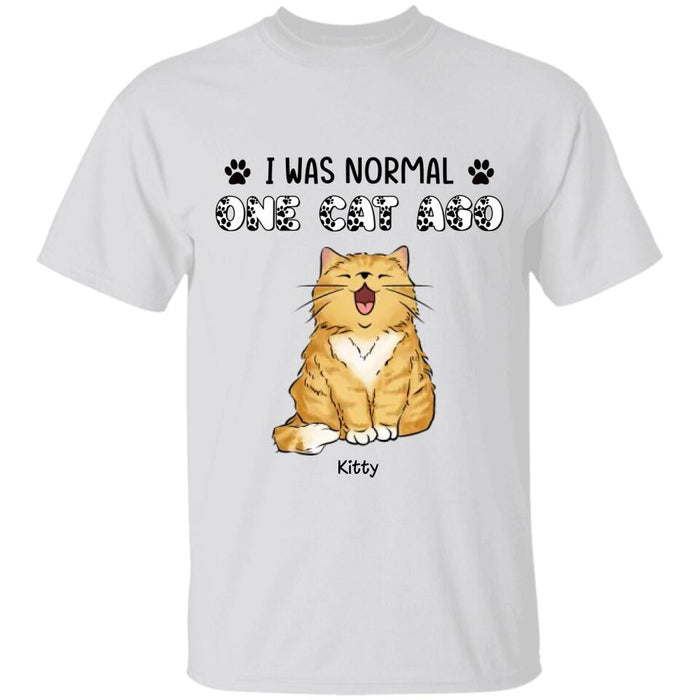 I Was Normal 6 Cats Ago Funny Personalized T-shirt TS-NB2380