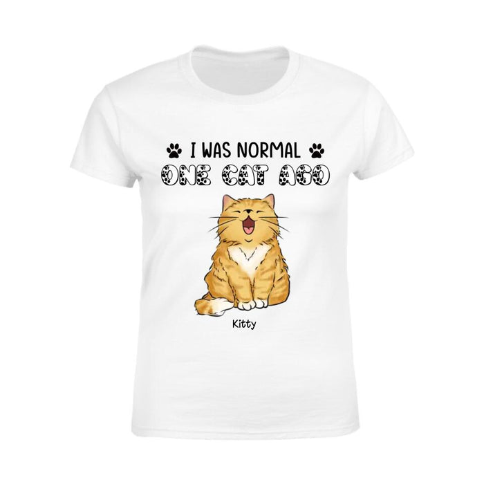 I Was Normal 6 Cats Ago Funny Personalized T-shirt TS-NB2380