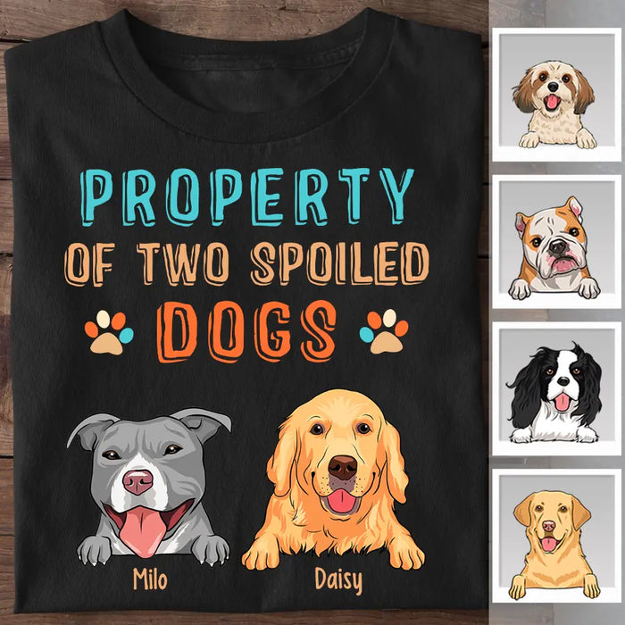 Property Of Spoiled Dogs Personalized T-shirt TS-NB2429