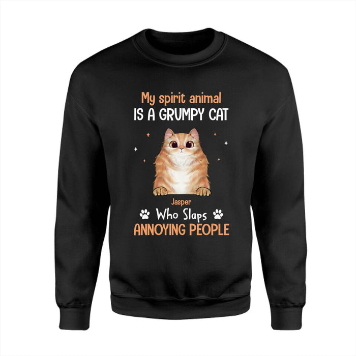 My Spirit Animal Is A Grumpy Cat Who Slaps Annoying People Personalized T-Shirt TS-PT2562