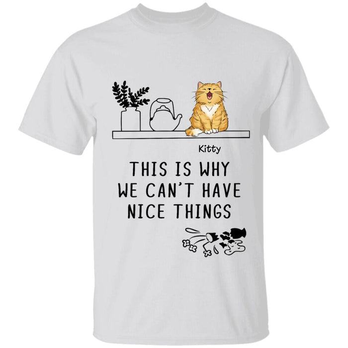 This Is Why We Can't Have Nice Things Personalized T-shirt TS-NB2598