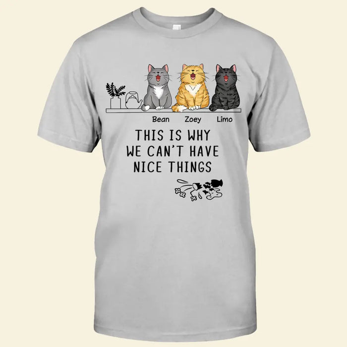 This Is Why We Can't Have Nice Things Personalized T-shirt TS-NB2598